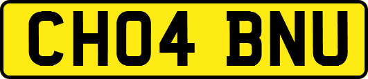 CH04BNU