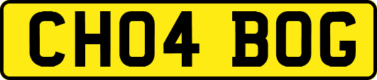 CH04BOG