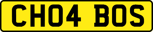CH04BOS