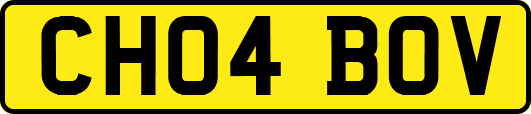 CH04BOV