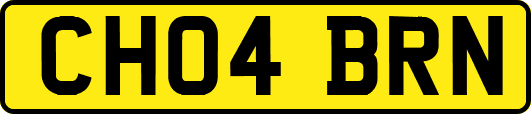 CH04BRN