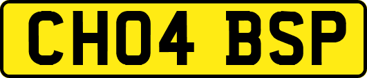 CH04BSP