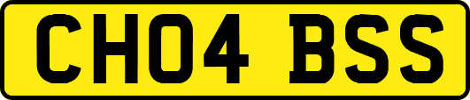CH04BSS