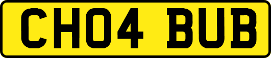 CH04BUB