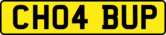 CH04BUP