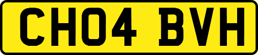 CH04BVH