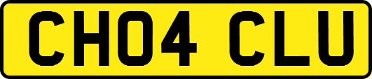 CH04CLU
