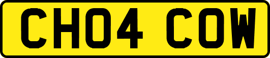 CH04COW