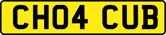 CH04CUB