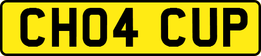 CH04CUP