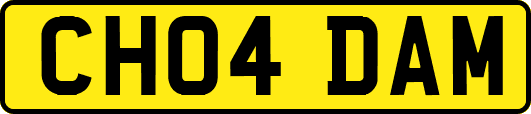 CH04DAM
