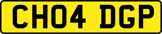 CH04DGP