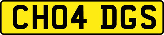 CH04DGS
