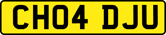 CH04DJU