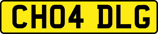 CH04DLG