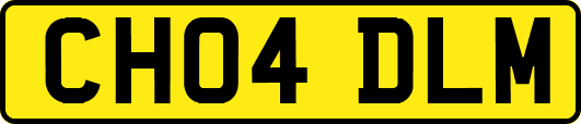 CH04DLM