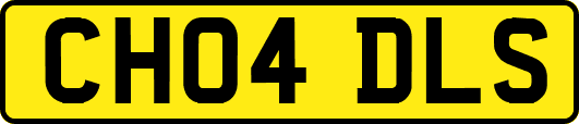 CH04DLS