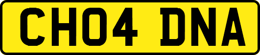 CH04DNA