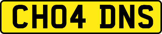 CH04DNS