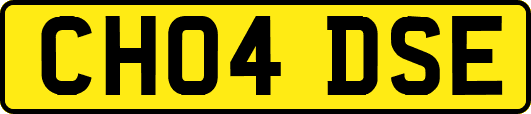 CH04DSE