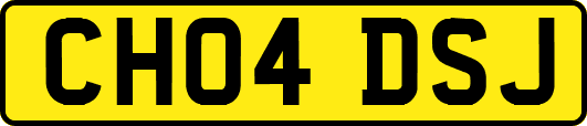 CH04DSJ