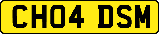CH04DSM