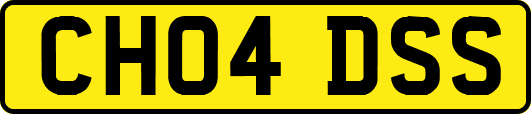 CH04DSS