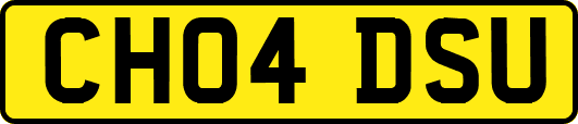 CH04DSU
