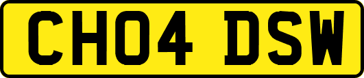 CH04DSW