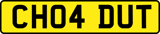 CH04DUT