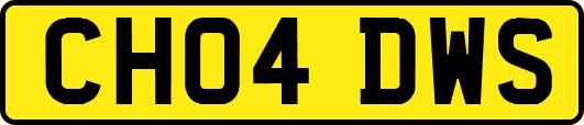 CH04DWS