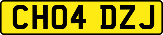 CH04DZJ