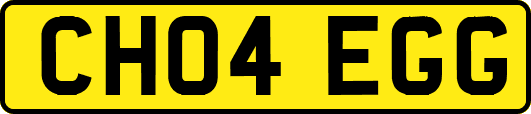 CH04EGG