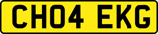 CH04EKG