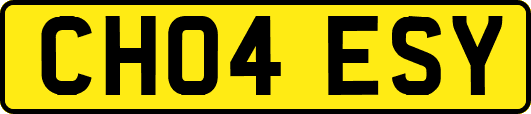 CH04ESY