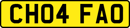 CH04FAO