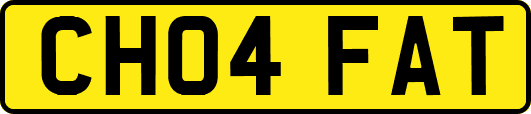 CH04FAT