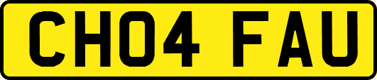 CH04FAU