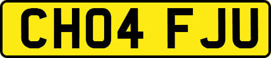 CH04FJU