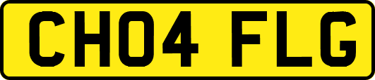 CH04FLG