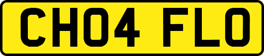 CH04FLO