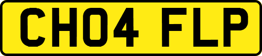 CH04FLP