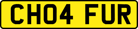 CH04FUR
