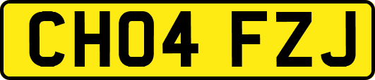 CH04FZJ