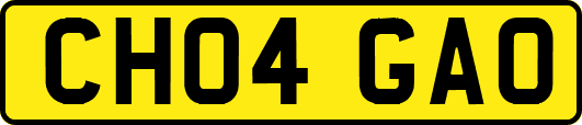 CH04GAO