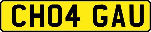 CH04GAU