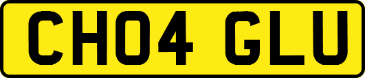 CH04GLU