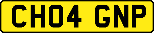 CH04GNP