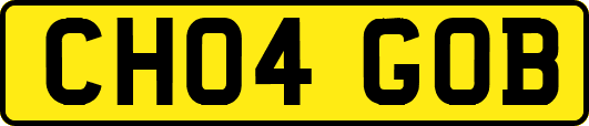 CH04GOB