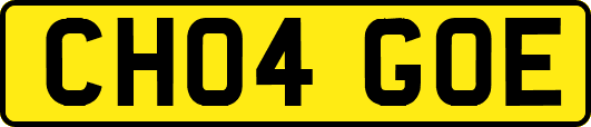 CH04GOE